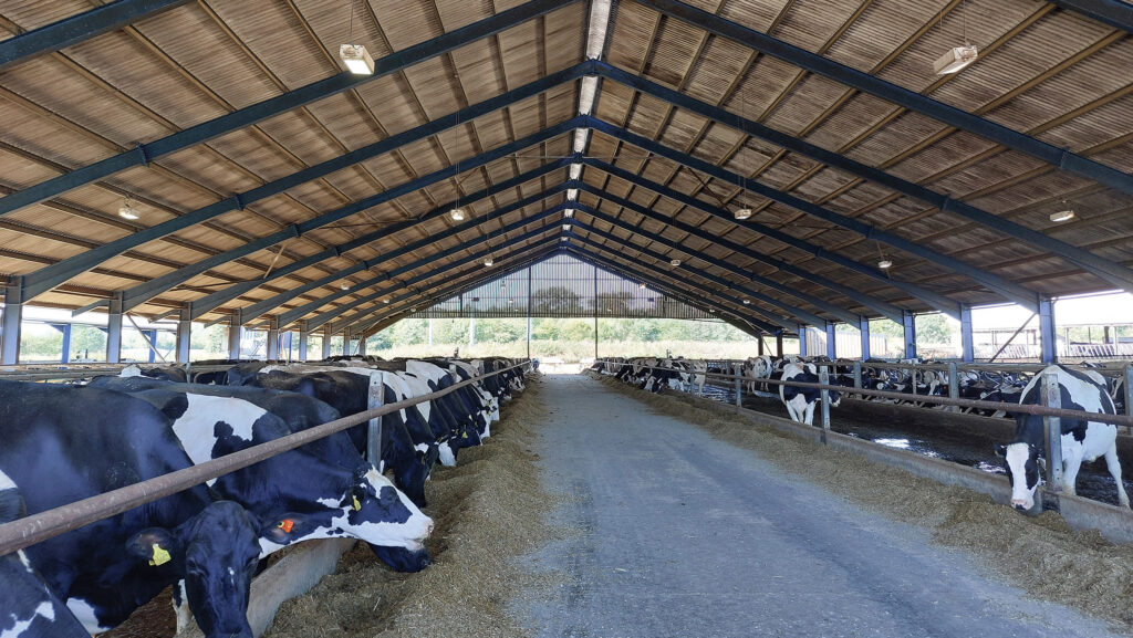 Inside the Pound Farm shed