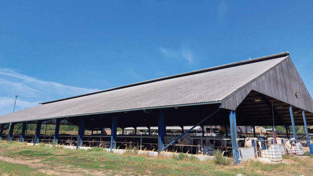 The shed at Pound Farm