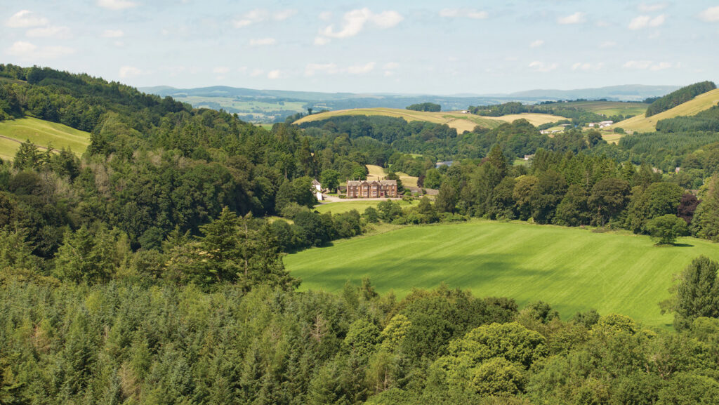 Blackwood Estate © Savills