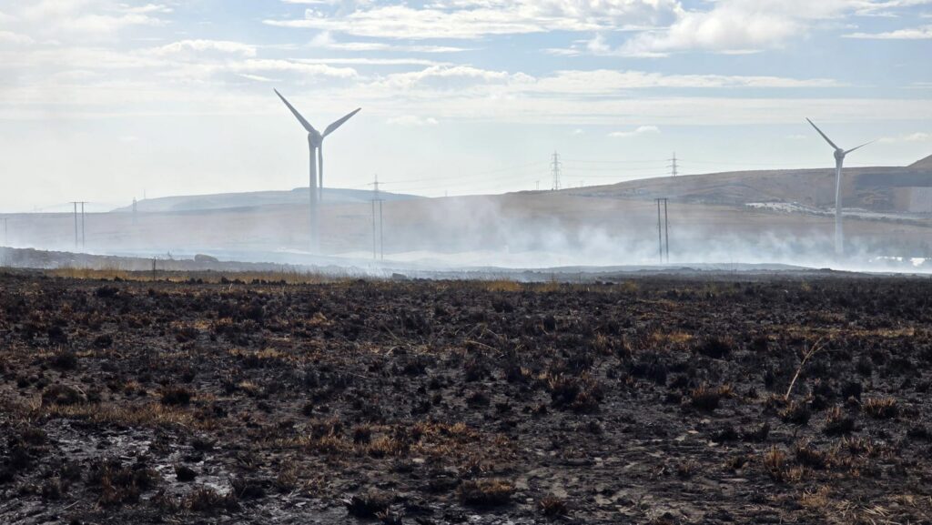 Scorched land © MAG/Anne Dunn