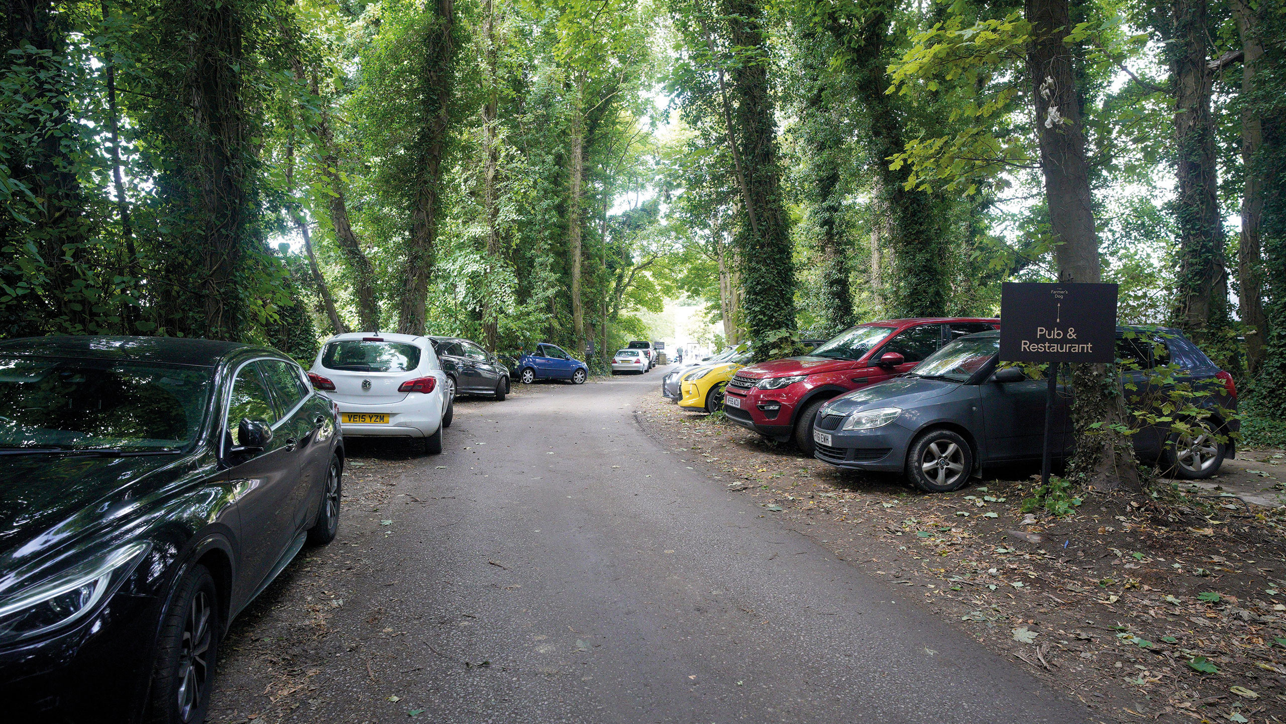Cars parked near trees