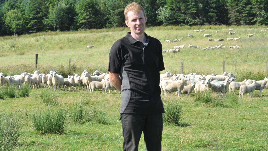 Carwyn Pugh with ewes and lambs