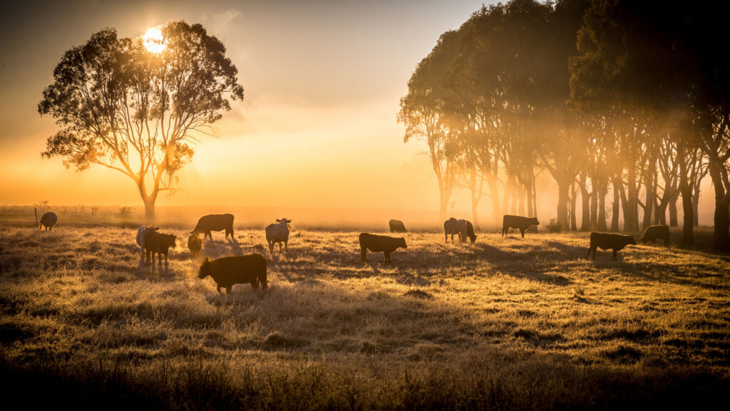 © Adobe Stock