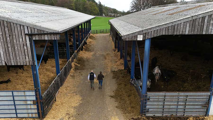 NFU agent with farmer on farm