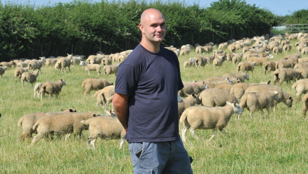 Dai John with sheep