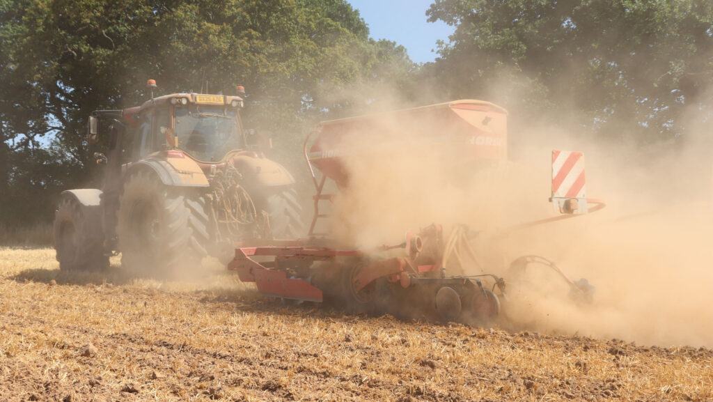 Drilling in a dust bowl. Brewster’s 4m Horsch Pronto sows stubble turnips at 3.7kg/ha © Andrew Faulkner
