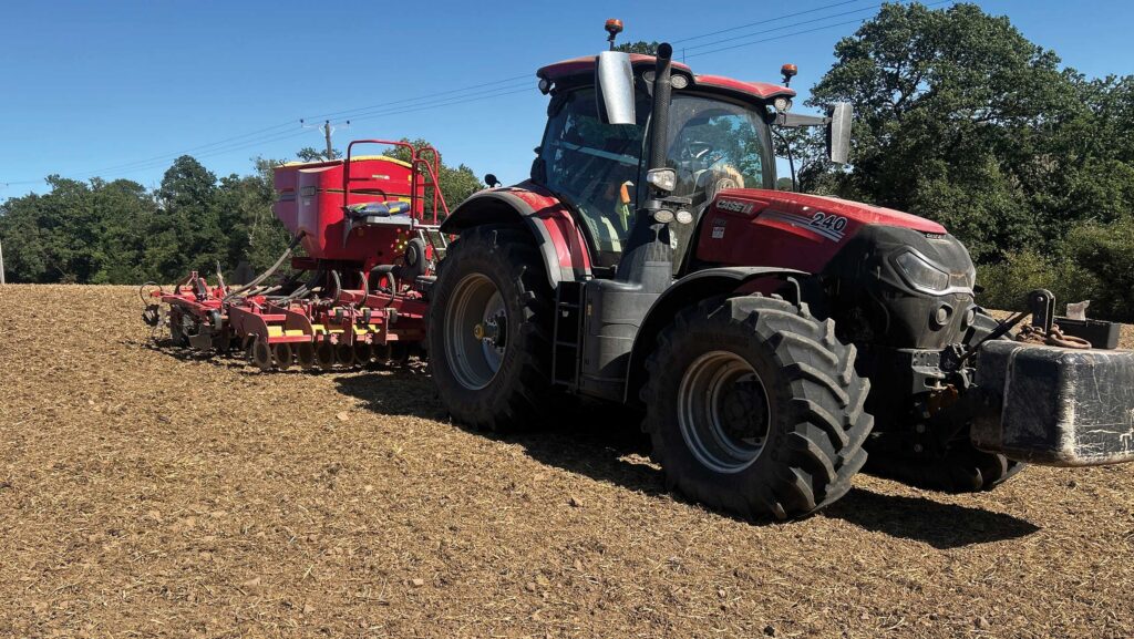 Drilling for forage rape