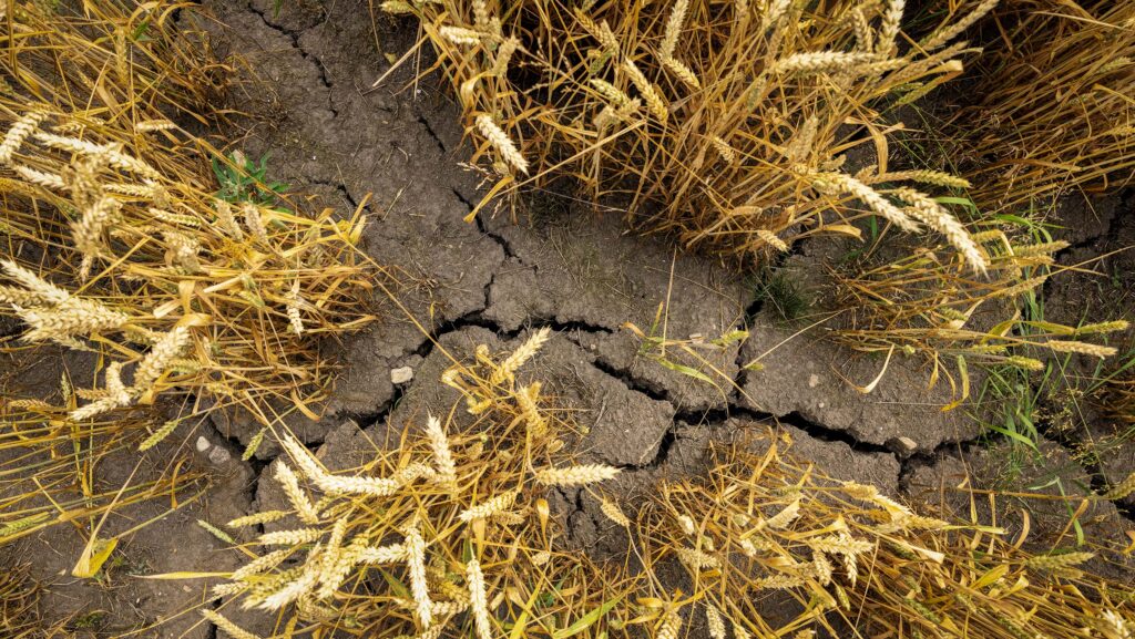 More water restrictions applied in Scotland despite rain