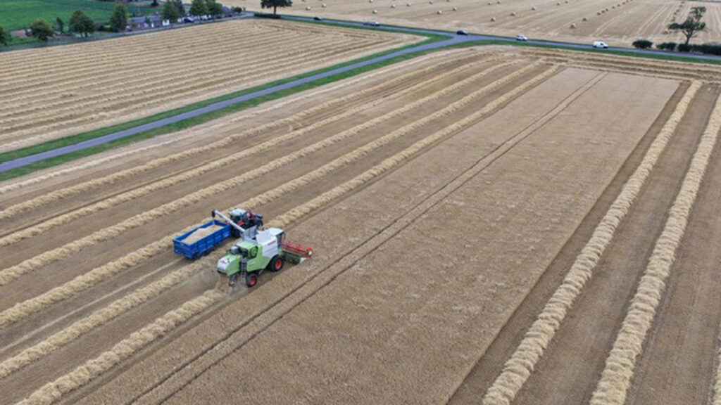 Aerial view of a harvest