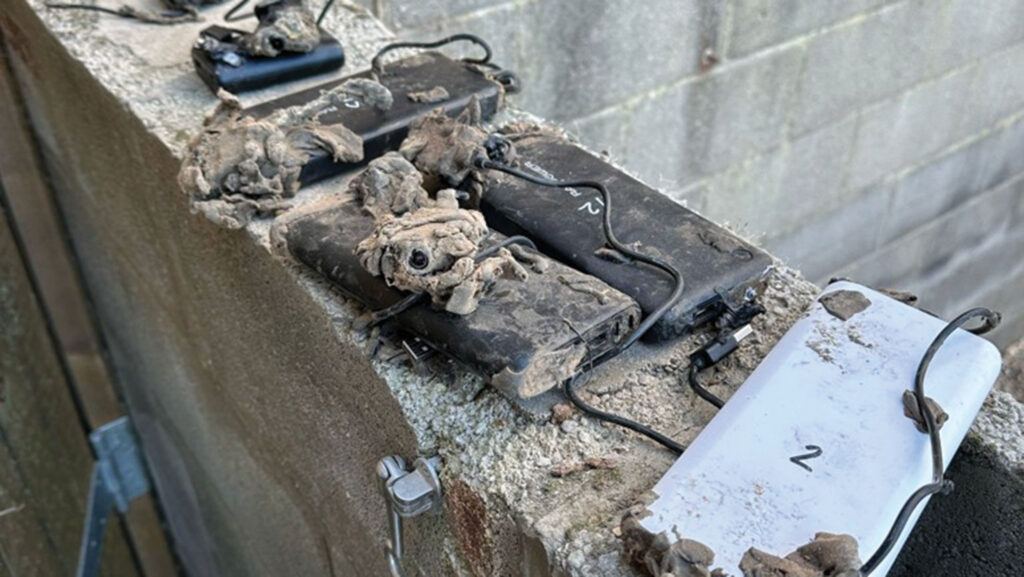 Hidden cameras planted by activists found on a UK farm