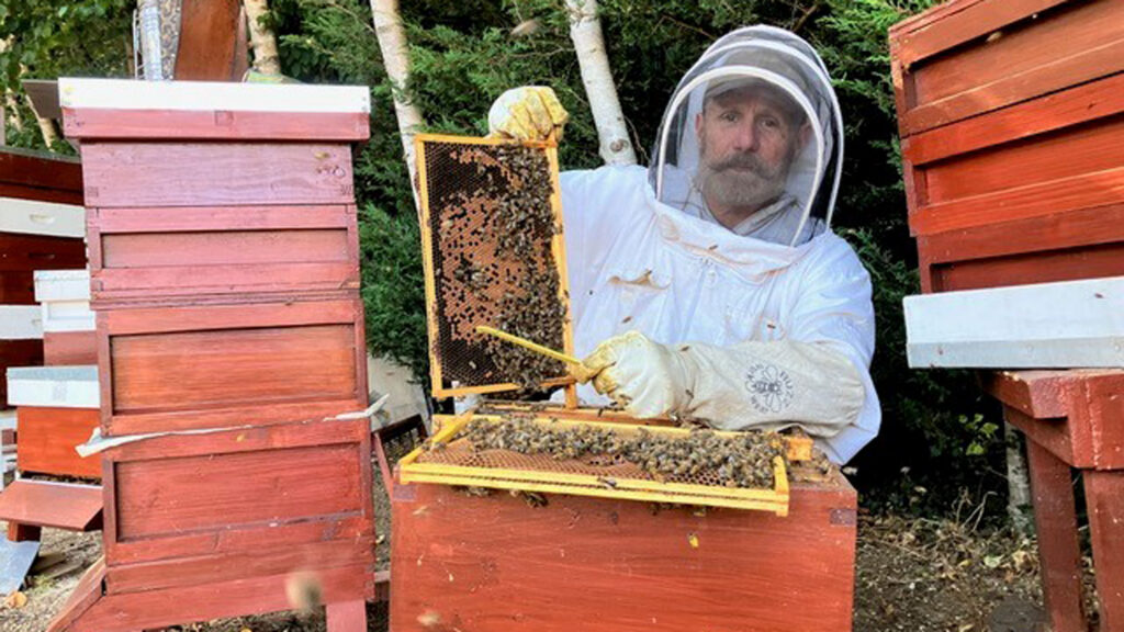 James Hamill © The Hive Honey Company