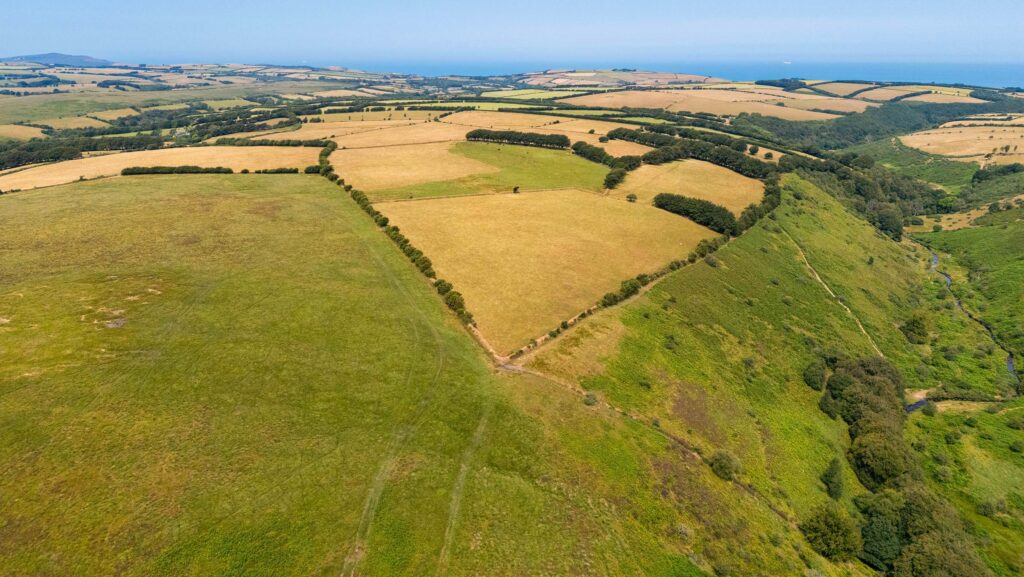 Lyndown Farms Estate at Lynton © Savills