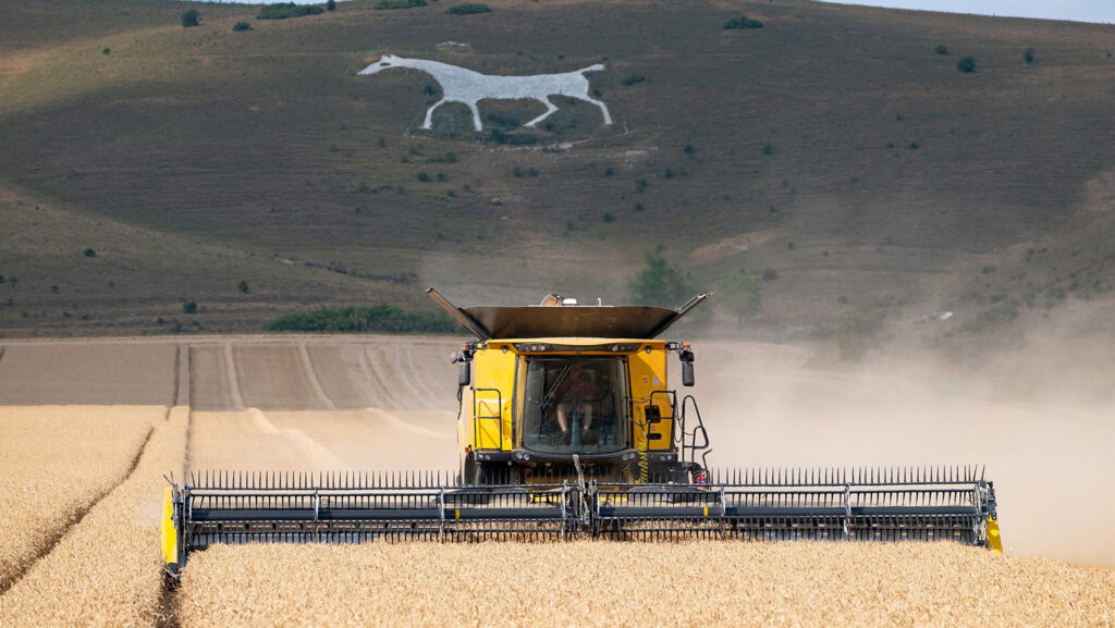 Palladium wheat being combined at Manor Farm, Alton, Barnes, in the Vale of Pewsey