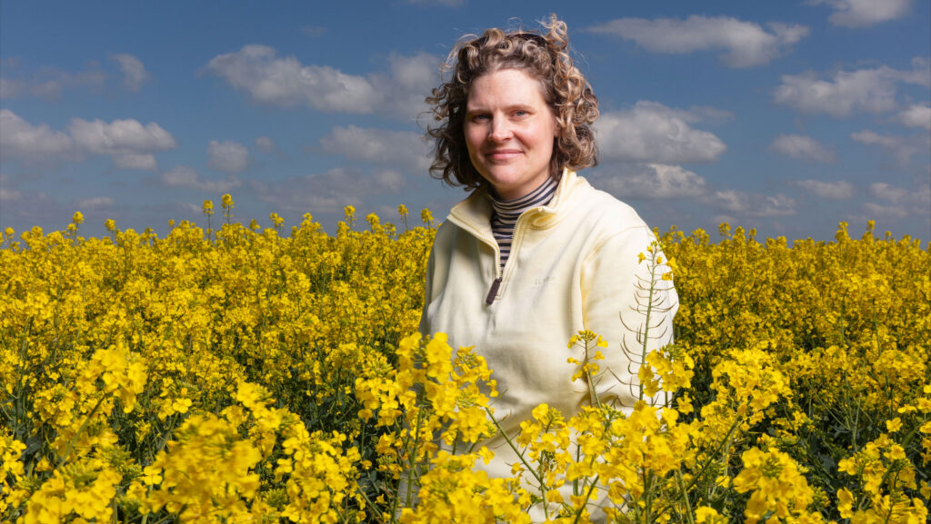 A woman in a field of oilseed rape
