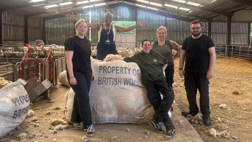 Sheep shearing training has proved successful © Green Careers Pathway