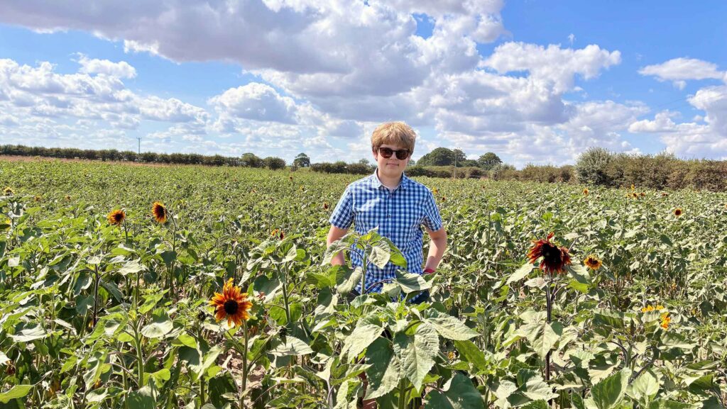 William Neave in a sunflower crop