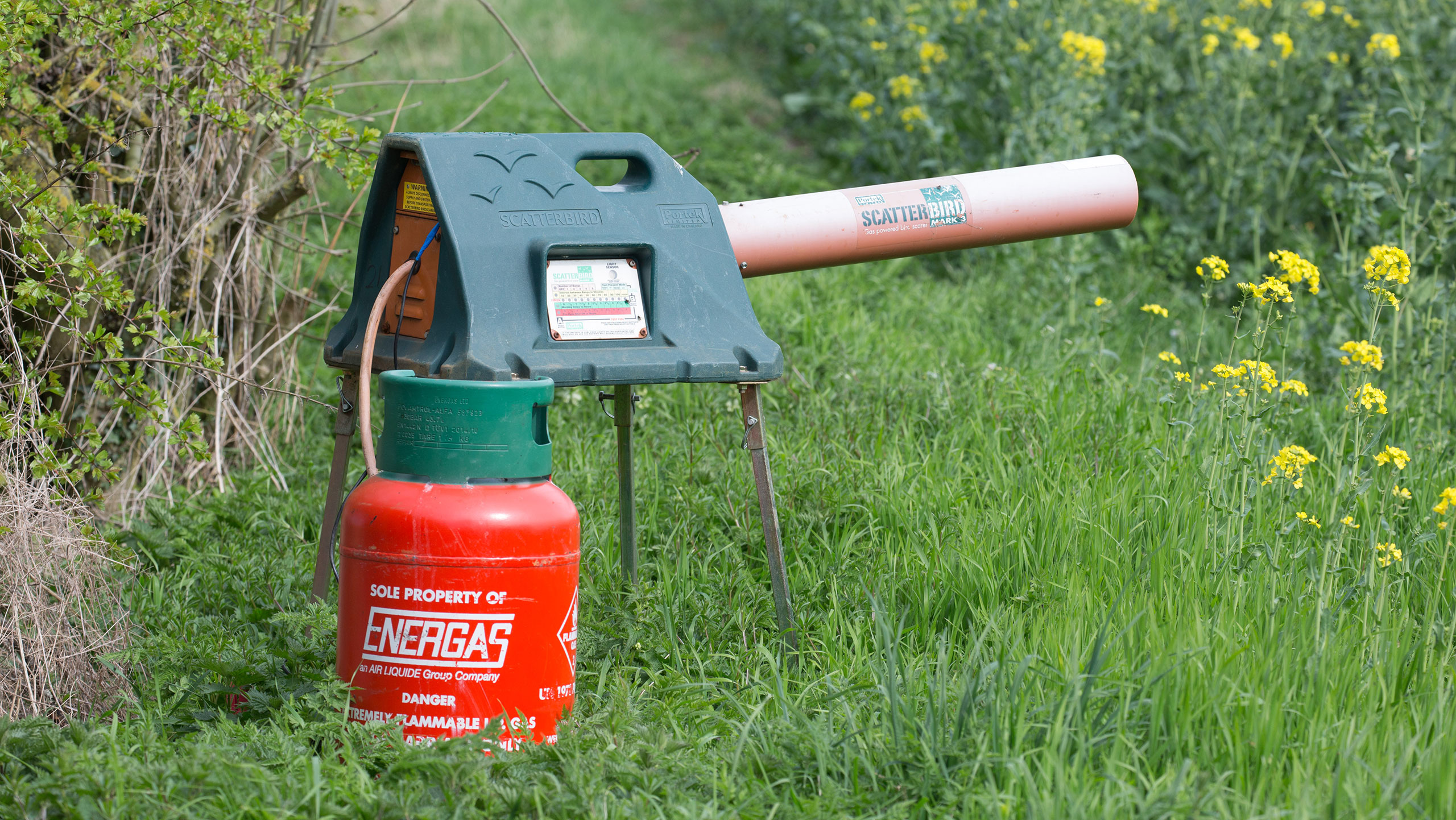 gas gun in field