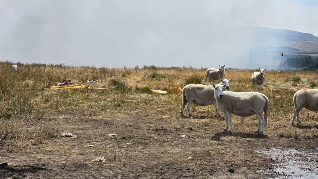 © MAG/Anne Dunn