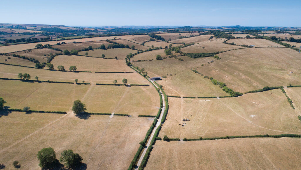 Chilfrome Farm © Symonds & Sampson