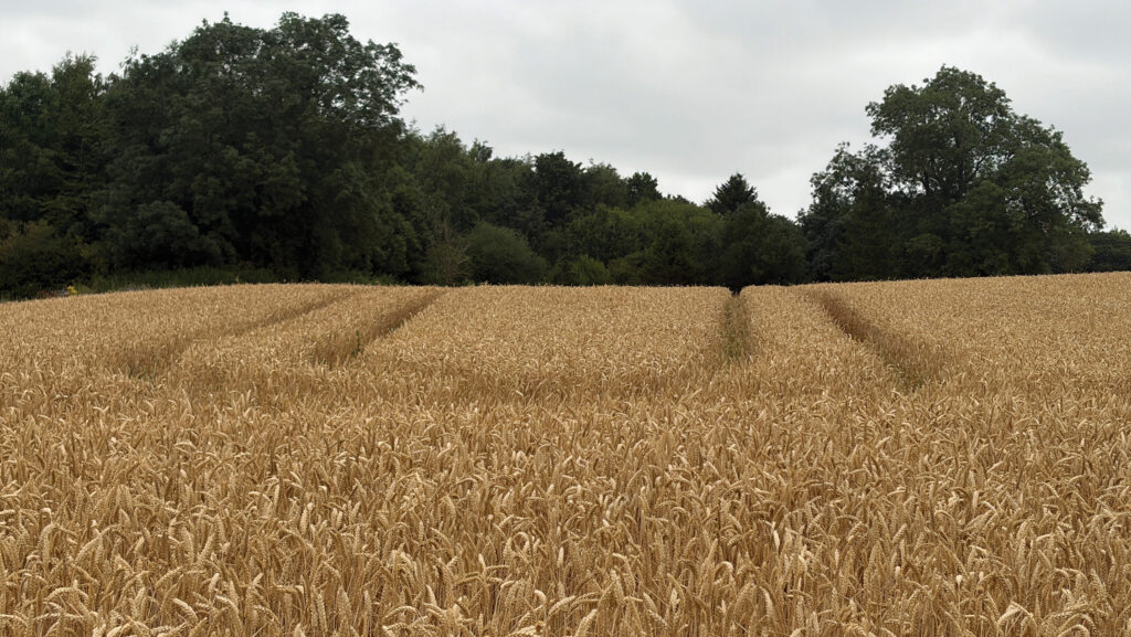 Cultivating across the slope