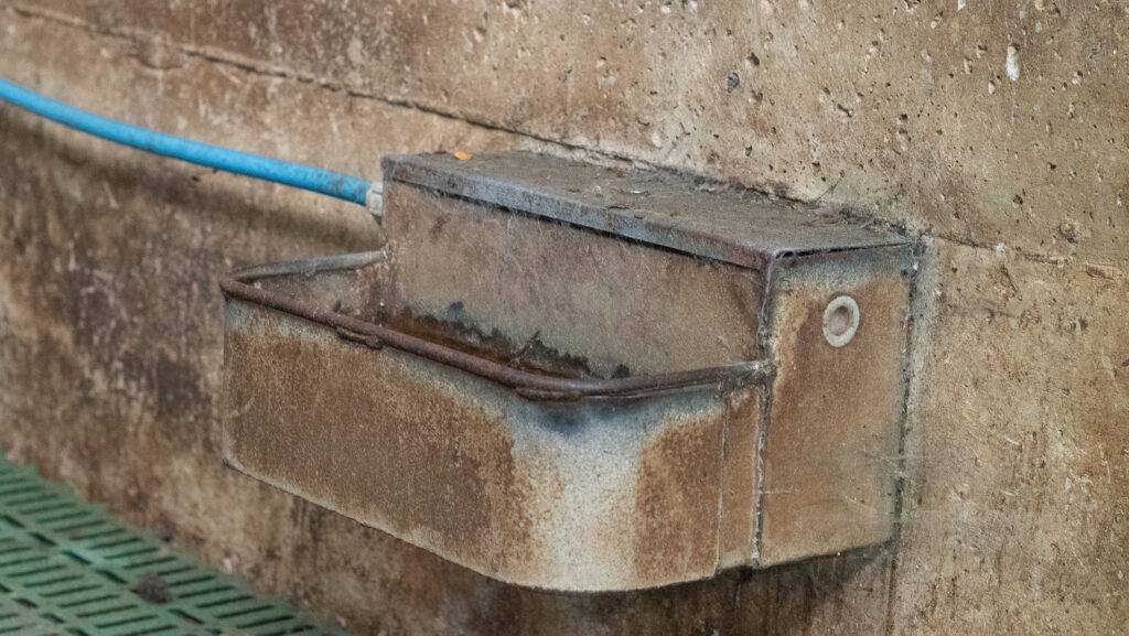 Each pen has individual water troughs