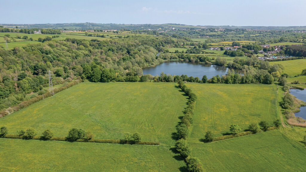Escomb Nature Reserve 