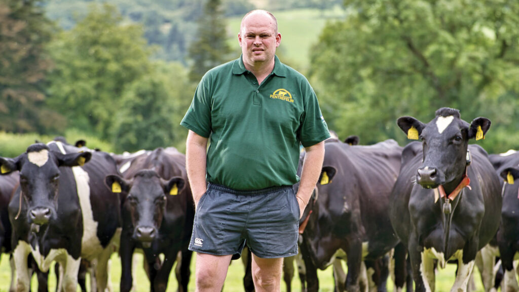 Farmer Focus: Rain gives clover-rich reseeds perfect soaking