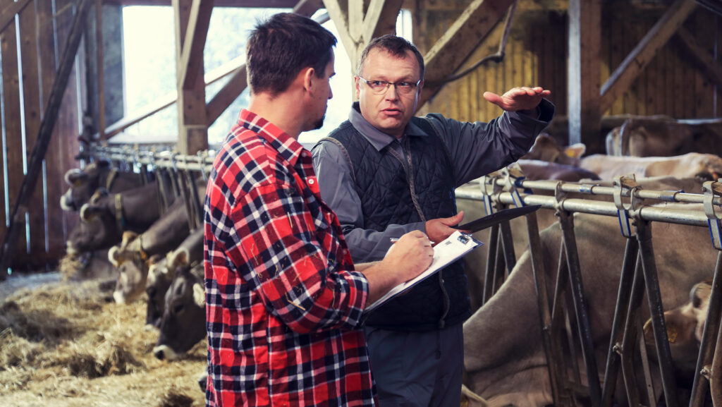 Red Tractor seeks to cut admin burden for livestock and dairy