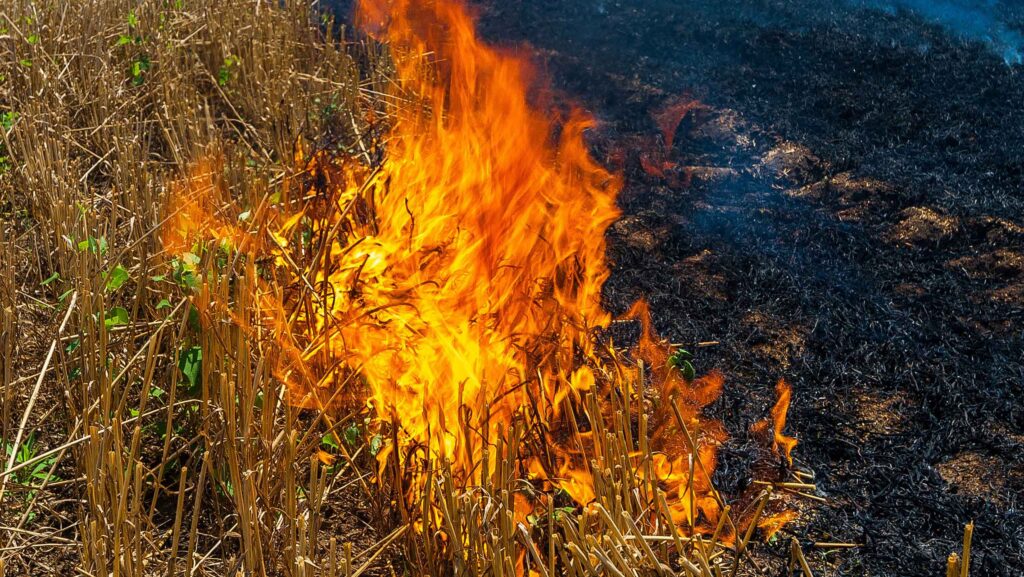 Brief break from farm interrupted by fire brigade call