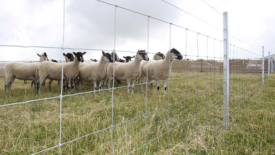 Xfence