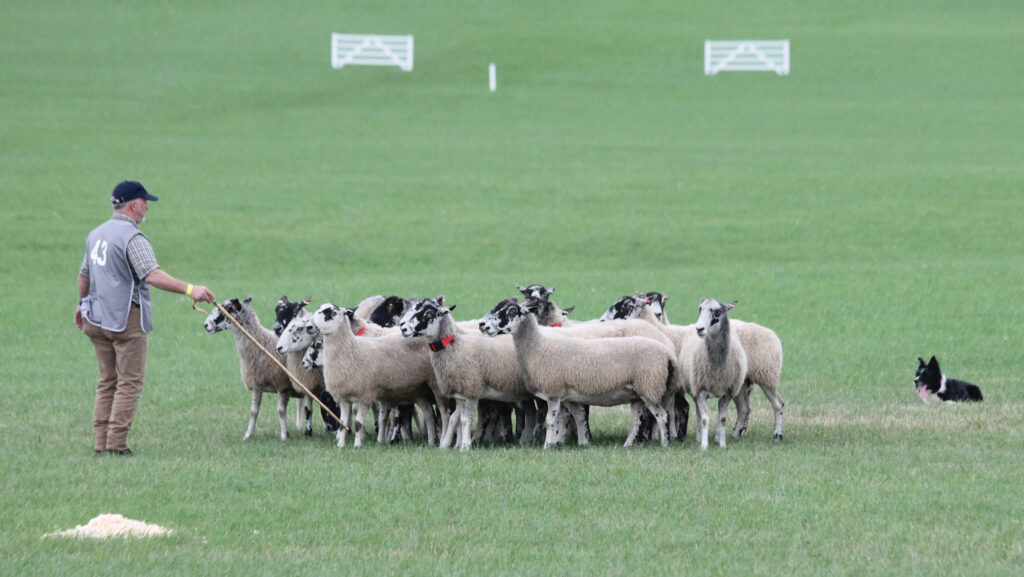 Ian Brownlie from East Lothiam works closely with his four-year-old dog Lark
