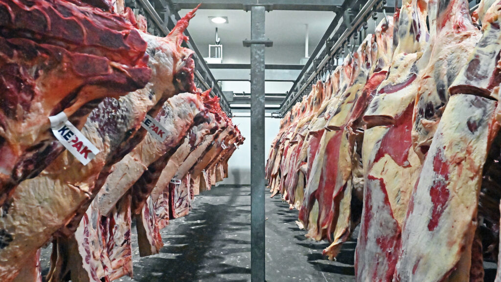 How red meat supply chain benefits from working together