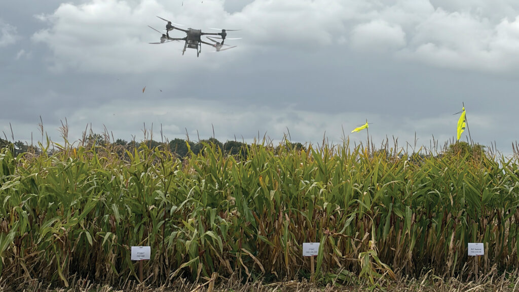 Drone above crop