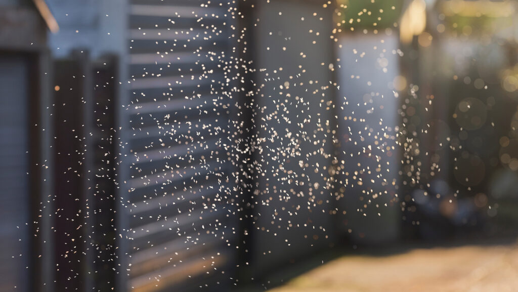 © AdobeStock