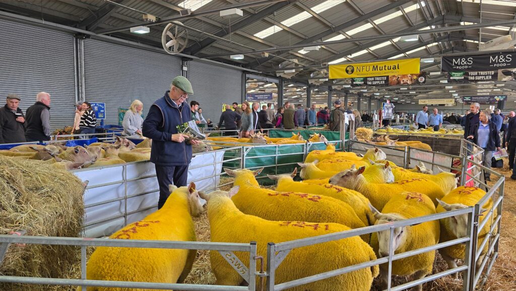 NSA ram sale sheds