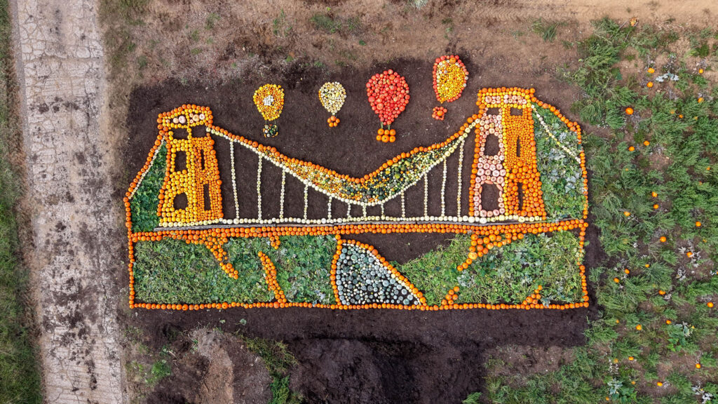 A pumpkin mosaic