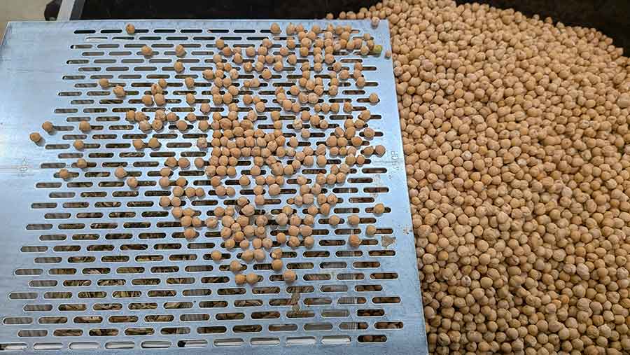 Cleaning high quality samples from Niab 2025 trials 