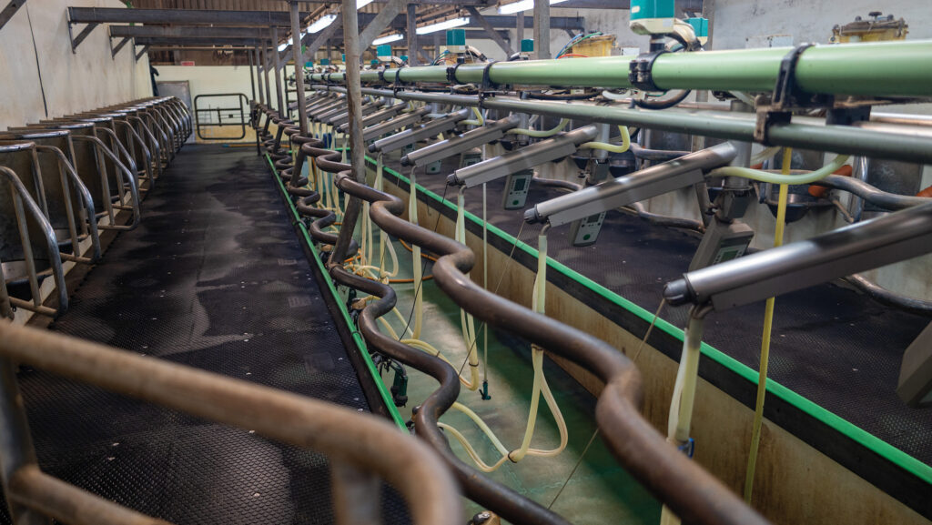 Milking parlour