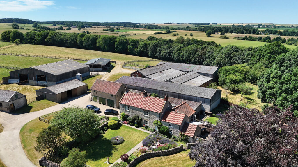 Pond Farm