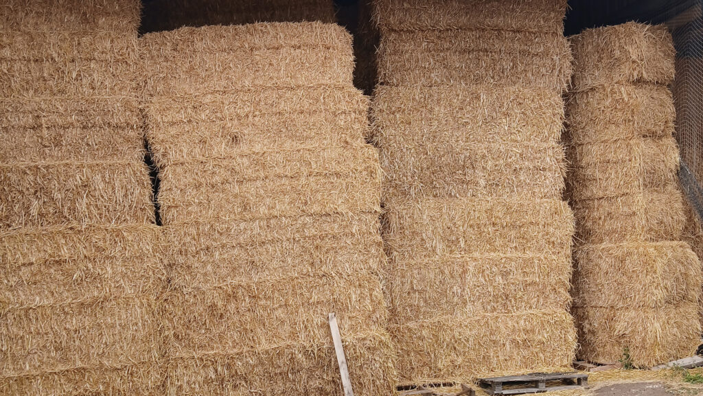 Straw 
