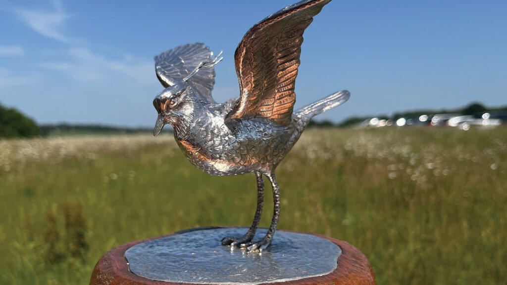 Lapwing Award trophy