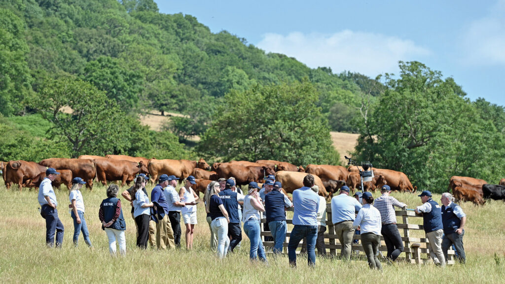 Visitors to Kepak farmer Richard Roderick 