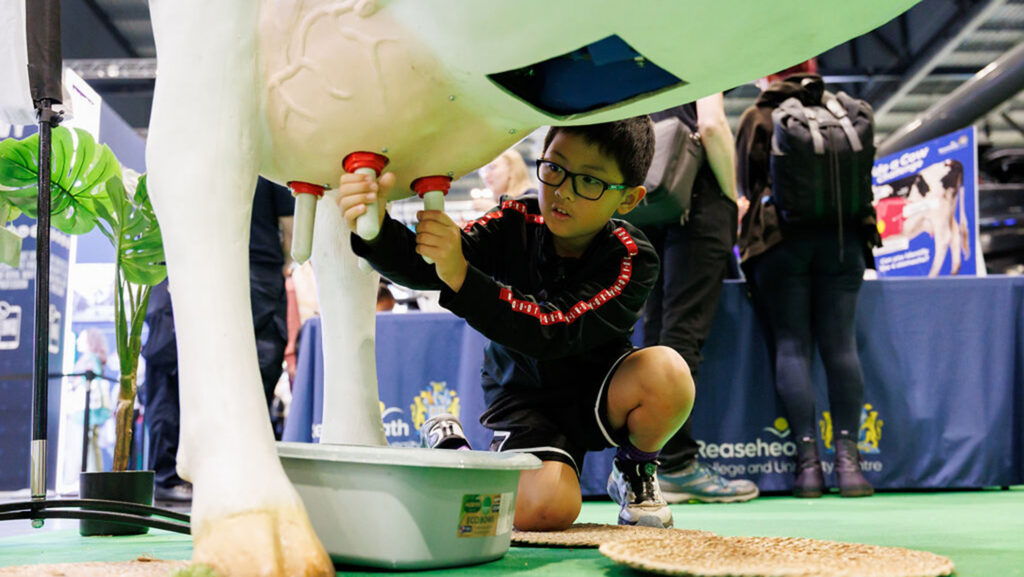 A schoolchild "milks" a robot cow at New Scientist Live