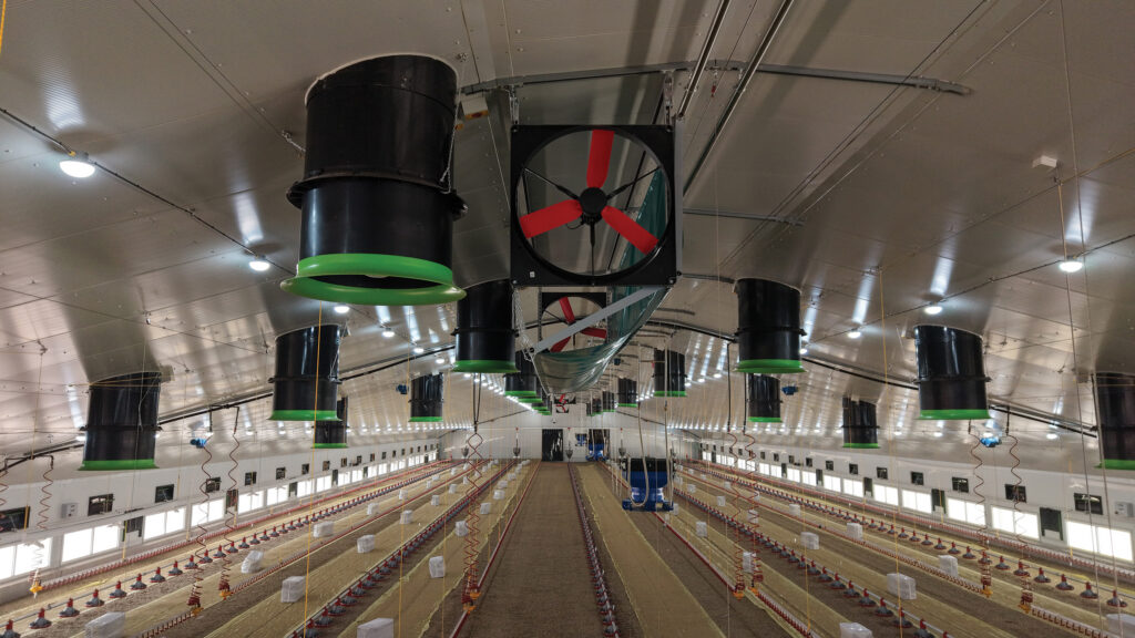 Dynamic daylight lighting in a poultry shed