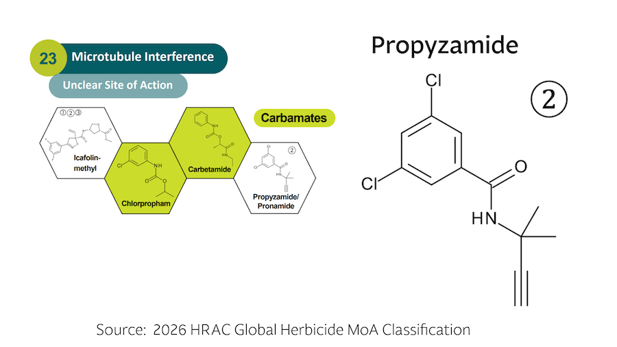 Group 23 - Propyzamide-1