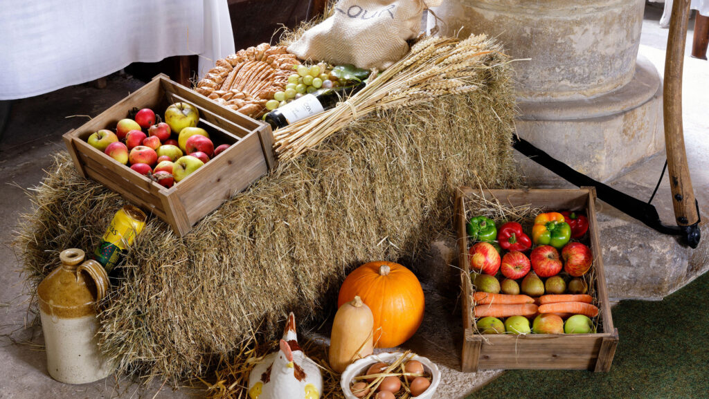 © Martin Fowler/Alamy Stock Photo