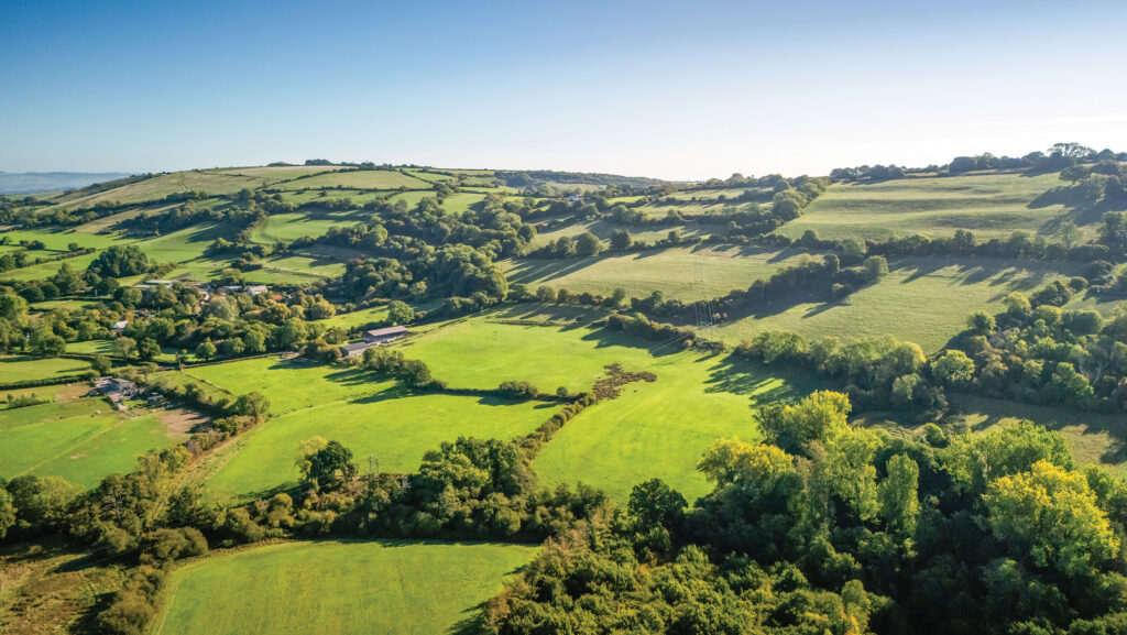 Land at Manor House Farm