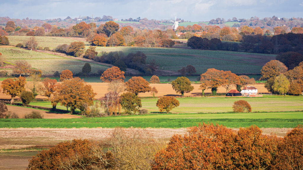 © HerbySussex/iStockphoto