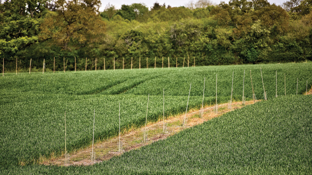 Newhouse Farm in Hampshire © Andy Bason
