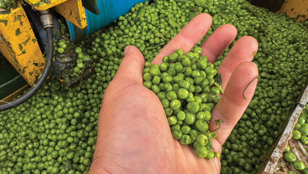 Peas